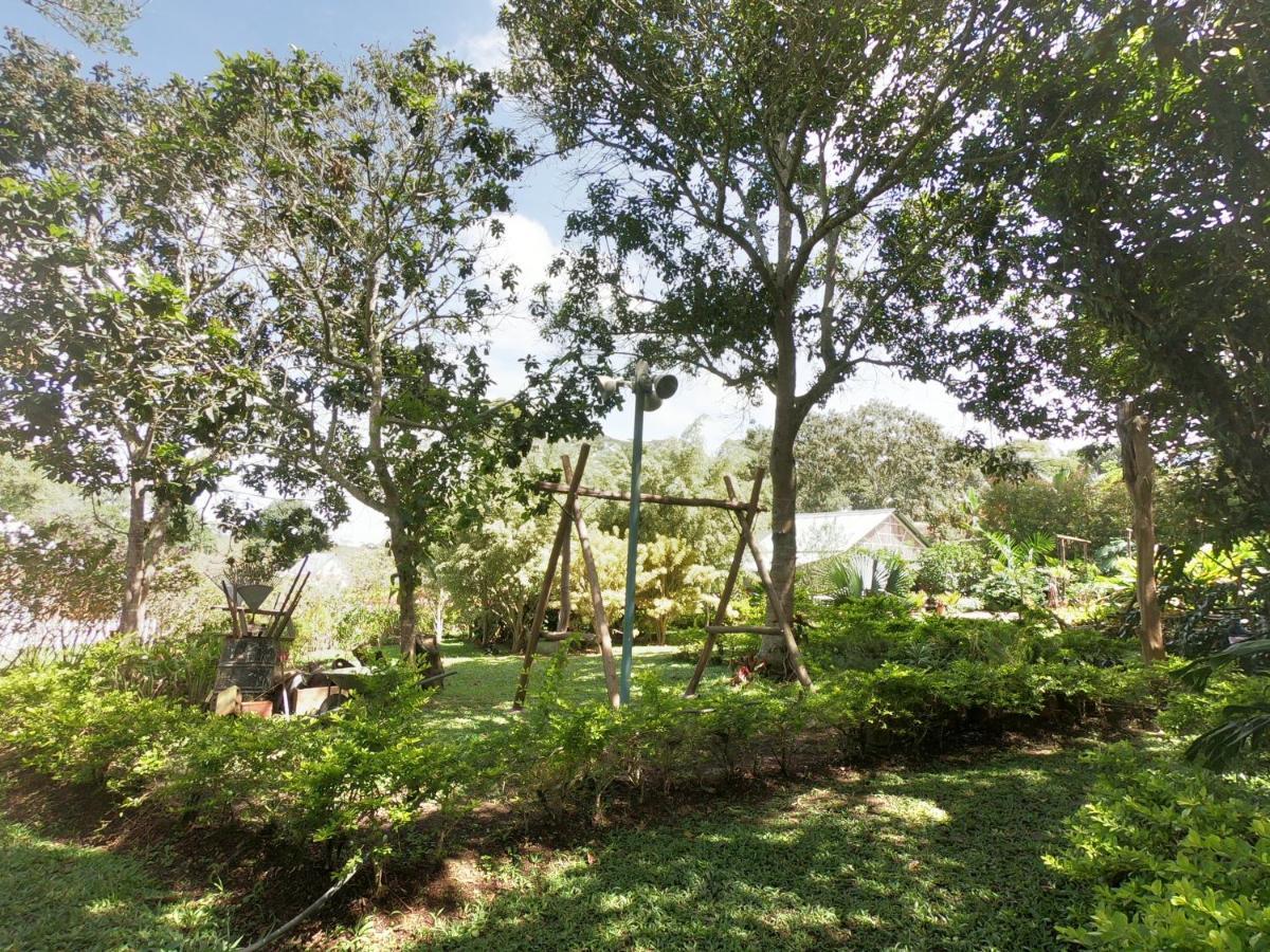 Tribu Ecohostal 로스 산토스 외부 사진
