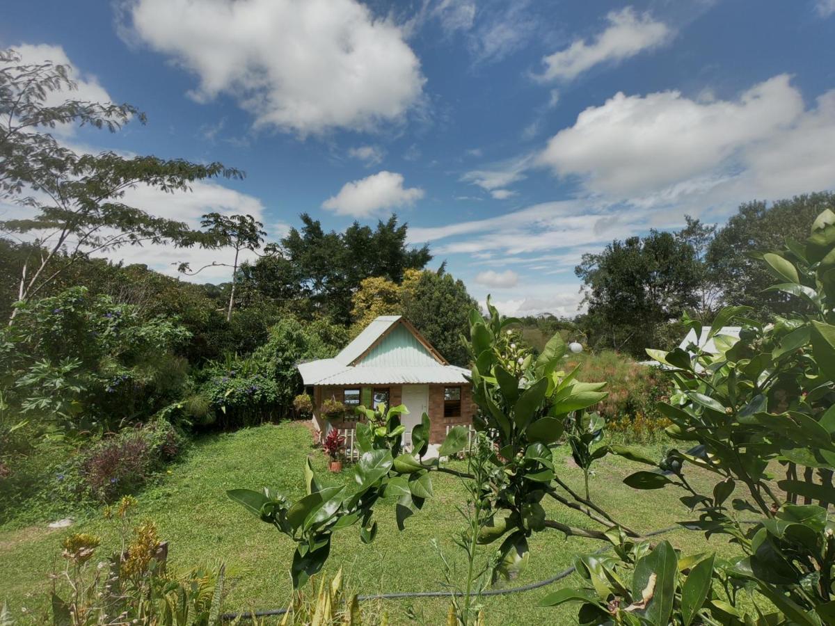 Tribu Ecohostal 로스 산토스 외부 사진