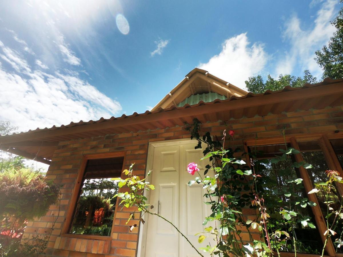 Tribu Ecohostal 로스 산토스 외부 사진