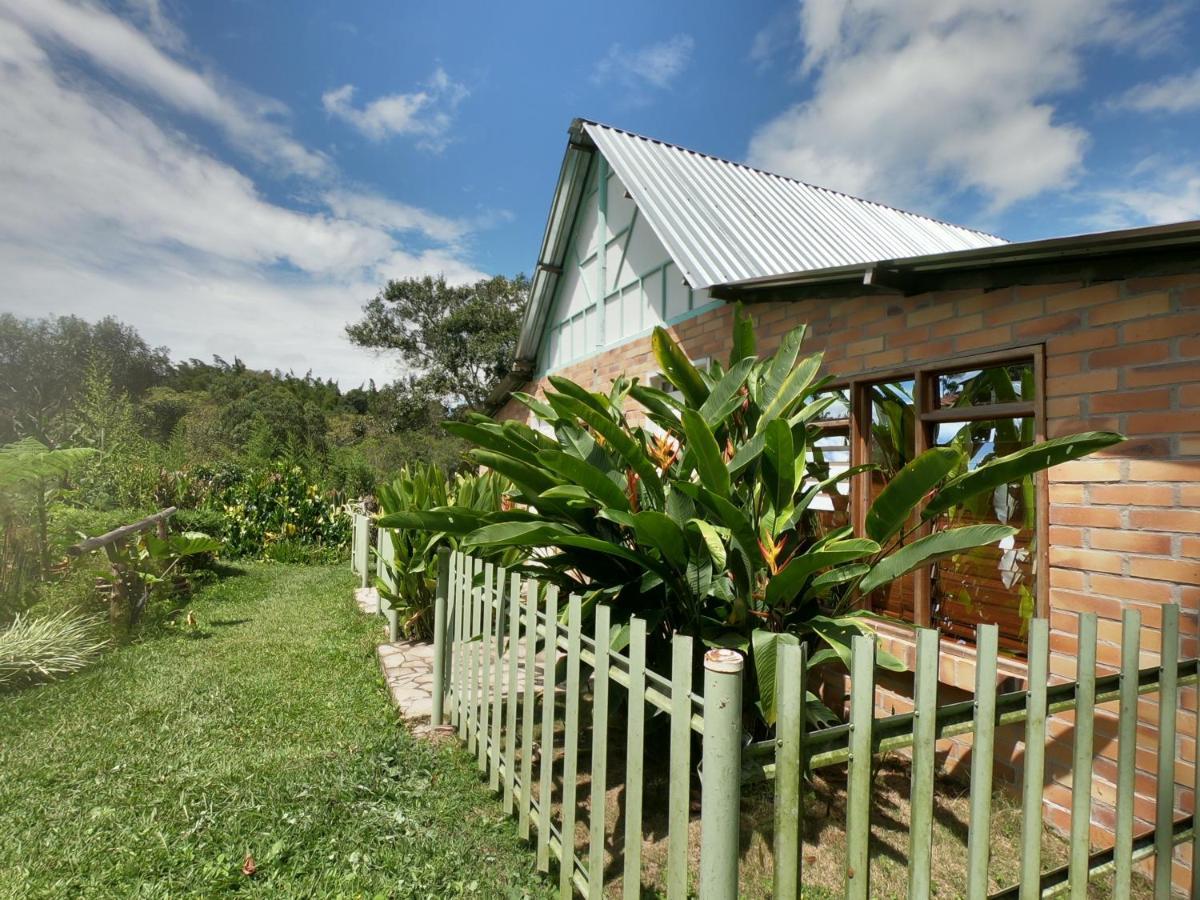 Tribu Ecohostal 로스 산토스 외부 사진