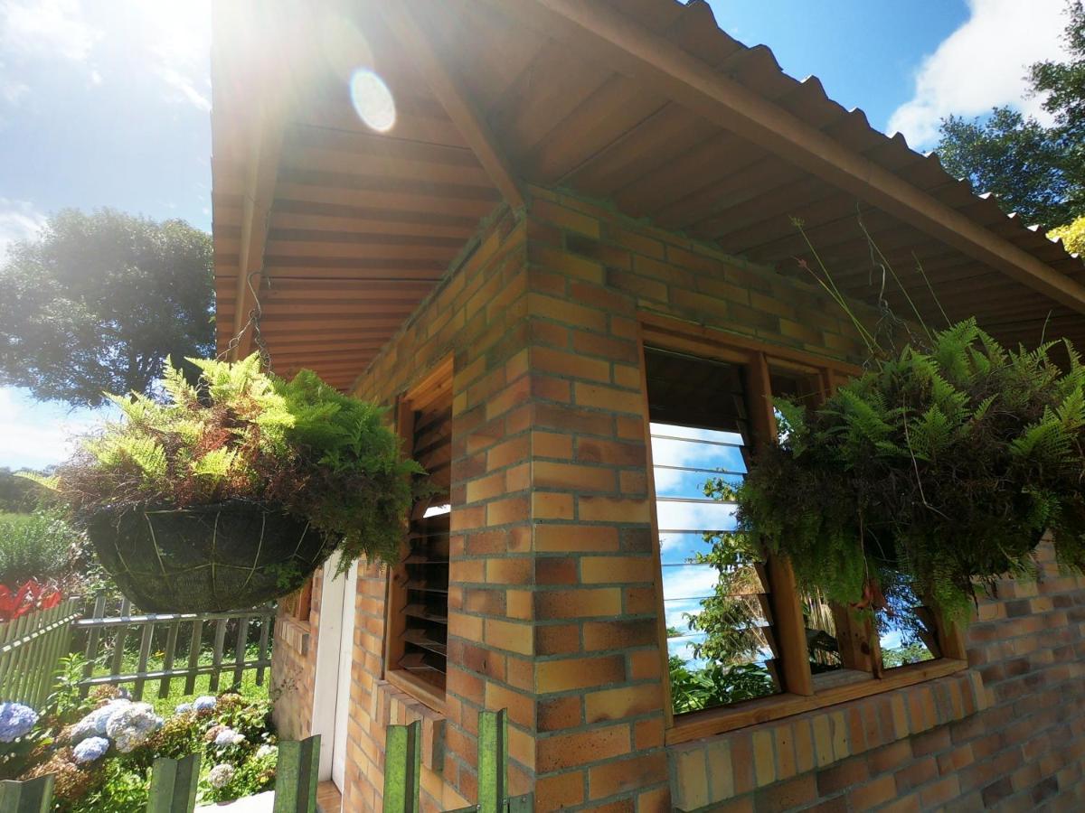 Tribu Ecohostal 로스 산토스 외부 사진