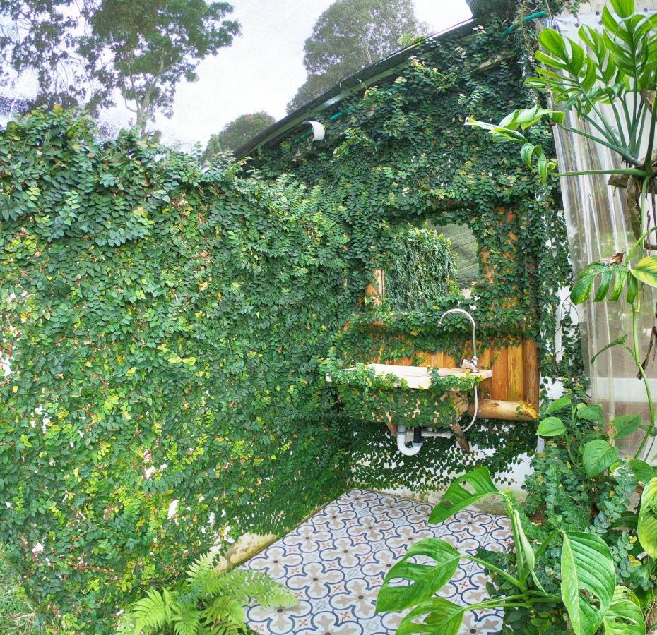 Tribu Ecohostal 로스 산토스 외부 사진
