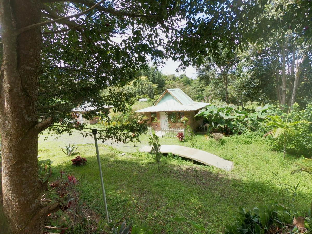 Tribu Ecohostal 로스 산토스 외부 사진