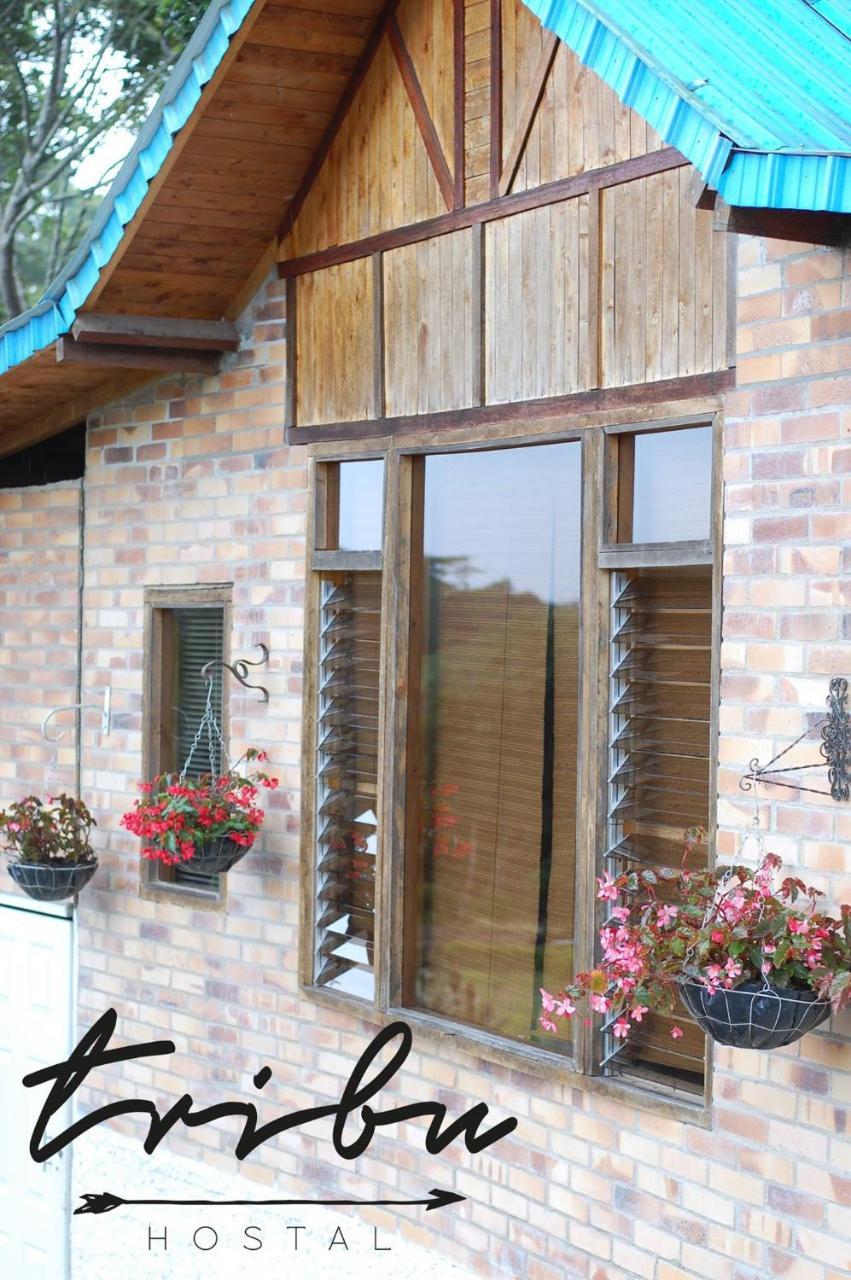 Tribu Ecohostal 로스 산토스 외부 사진