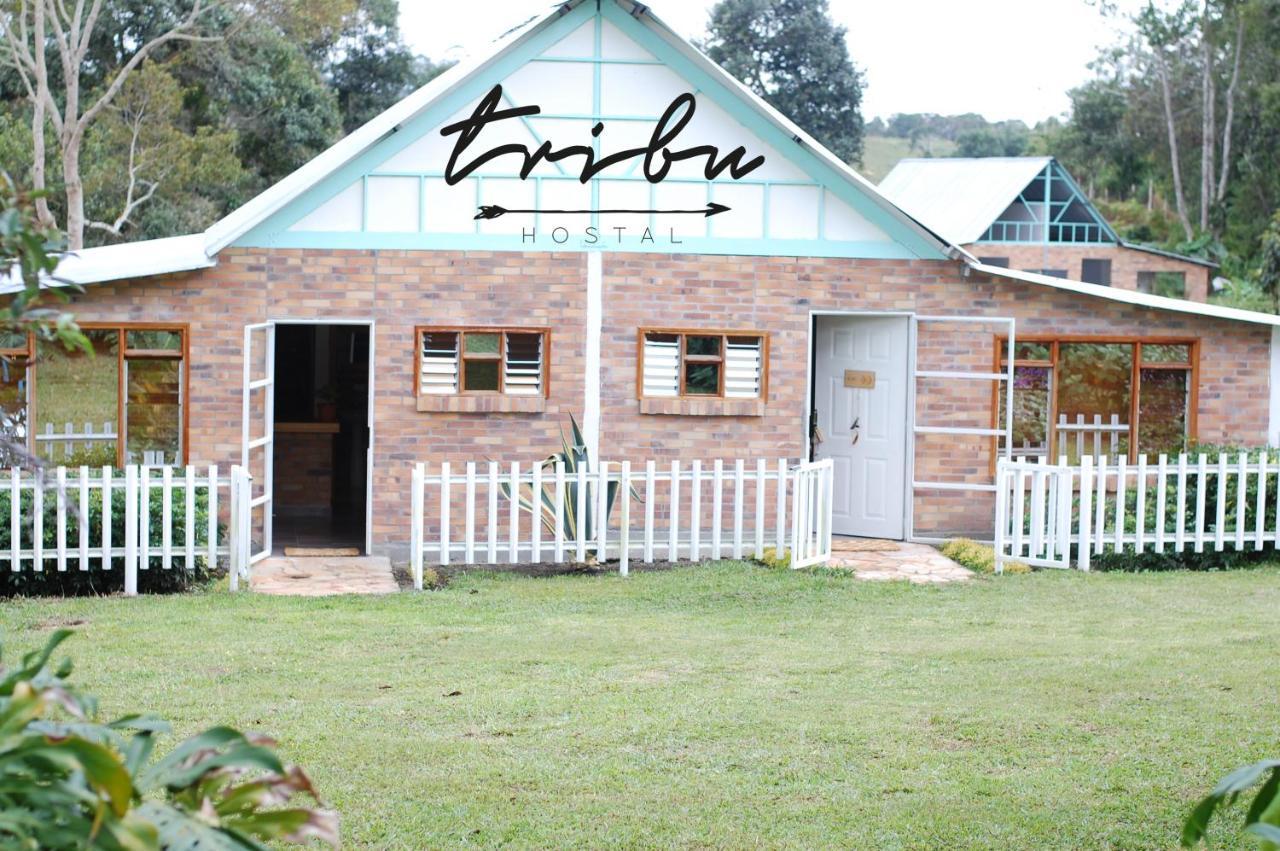 Tribu Ecohostal 로스 산토스 외부 사진