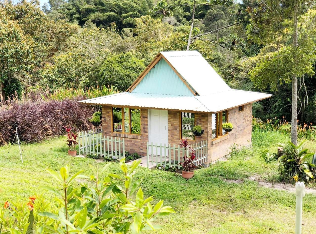 Tribu Ecohostal 로스 산토스 외부 사진