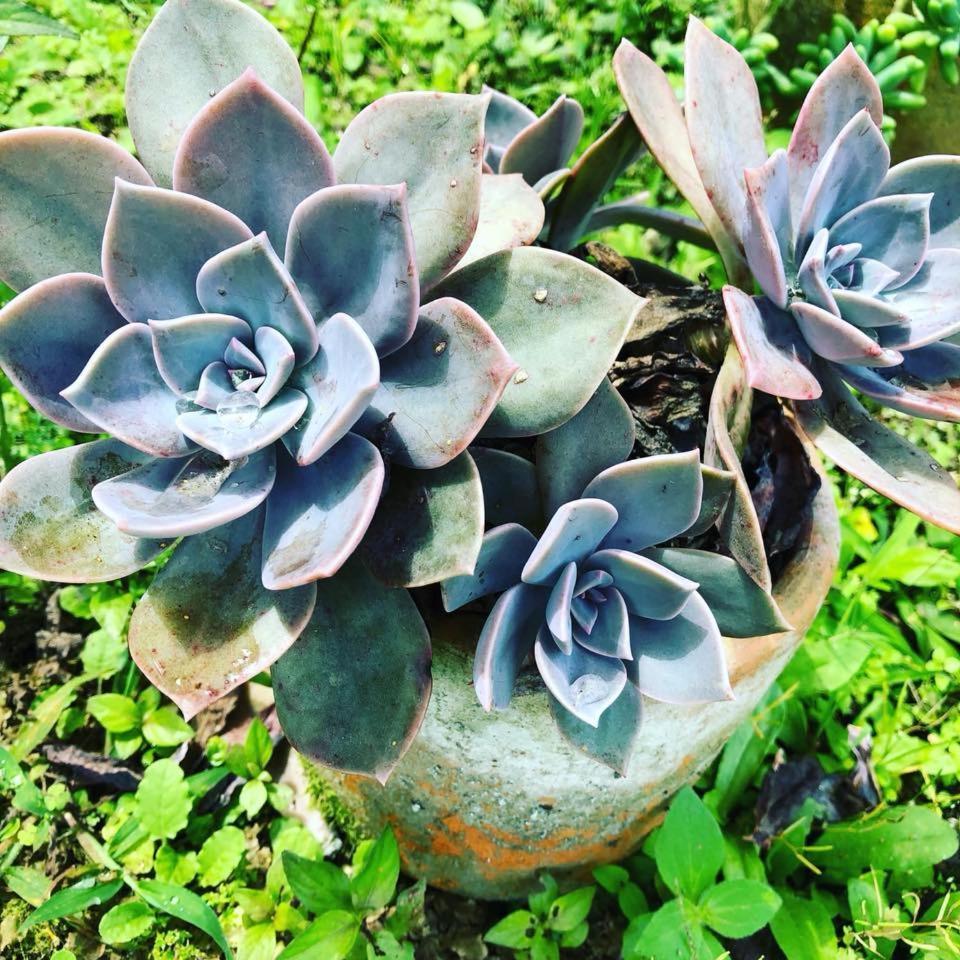 Tribu Ecohostal 로스 산토스 외부 사진