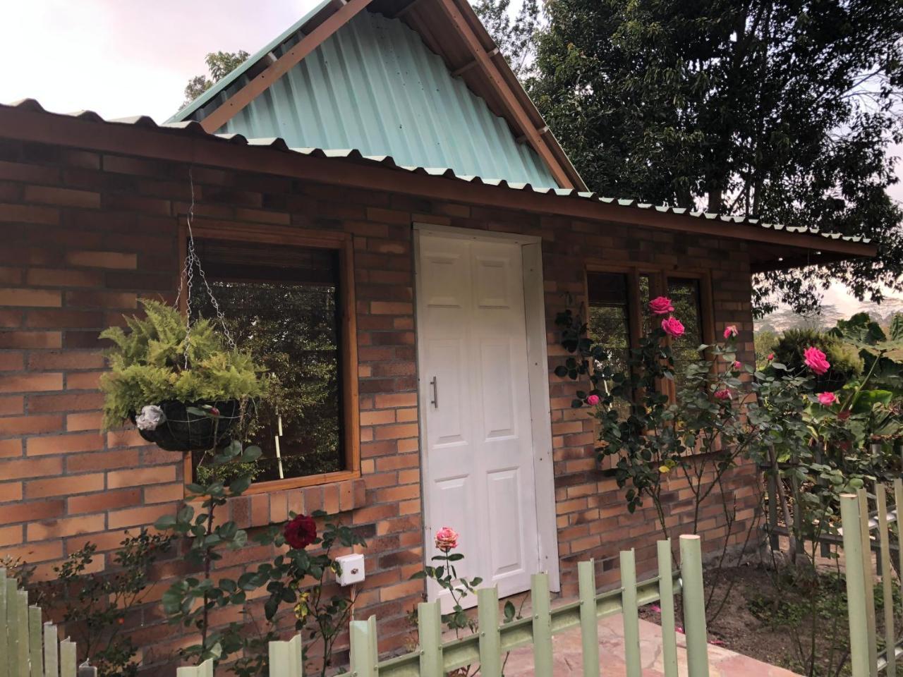 Tribu Ecohostal 로스 산토스 외부 사진